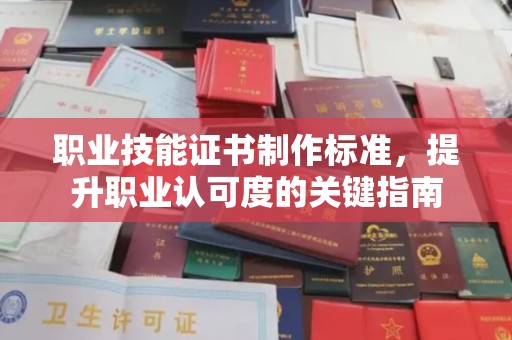 保税港区职业技能证书制作标准，提升职业认可度的关键指南
